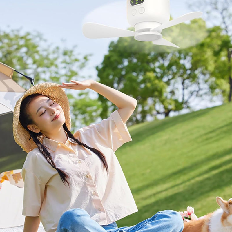 ⏰ Offerta limitata: 50% di sconto su un ventilatore da soffitto ricaricabile con luci a LED! 🌬️✨